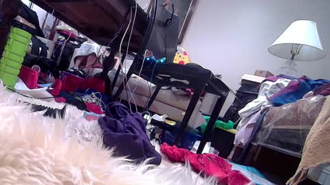 felicitybliss29 online show from 02-27-25, 03:47