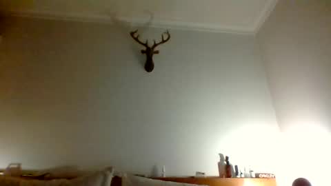 felipesmg2 online show from 06-11-26, 09:57