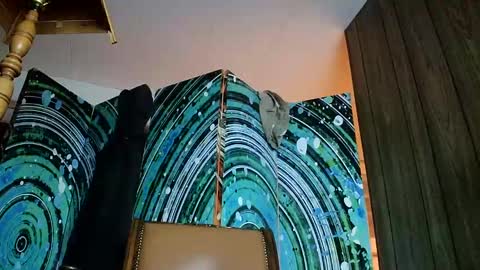 hungnsexy  online show from 02-04-25, 07:07