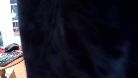 hungnsexy  online show from 03-07-25, 09:59