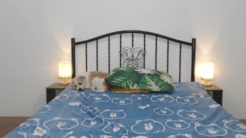 kaylee online show from 02-11-25, 11:22