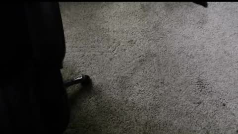 fengshui1982 online show from 11-29-25, 06:22