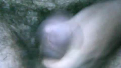 Snapshot of fer_2197 chatting on 02-06-25, 01:54 fer_2197 online show from 02-06-25, 01:54