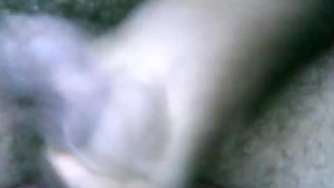 Snapshot of fer_2197 chatting on 02-18-25, 02:06 fer_2197 online show from 02-18-25, 02:06