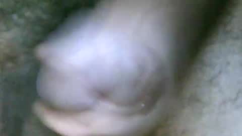 Snapshot of fer_2197 chatting on 10-31-25, 01:45 fer_2197 online show from 10-31-25, 01:45