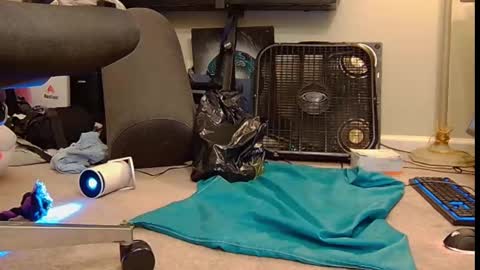 Snapshot of feralasf chatting on 10-06-25, 06:00 FE fee online show from 10-06-25, 06:00