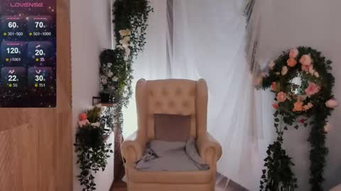 ferry_tail online show from 02-21-25, 04:37