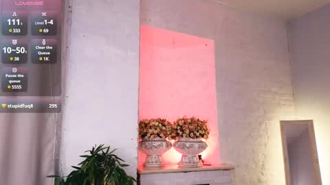 ferry_tail online show from 02-28-25, 04:53