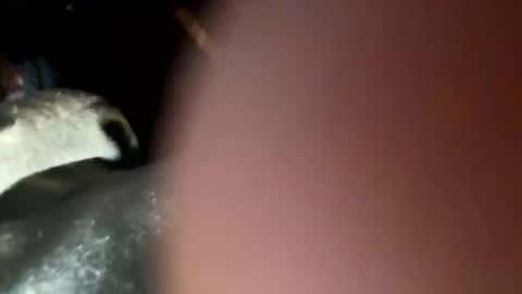 fieldmousebby online show from 11-12-25, 08:15