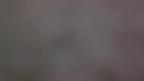 filos17 online show from 02-04-25, 04:29