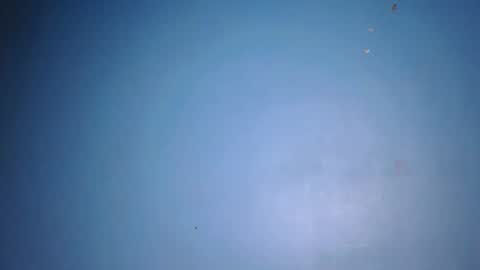 fine_ass24 online show from 05-29-26, 05:27
