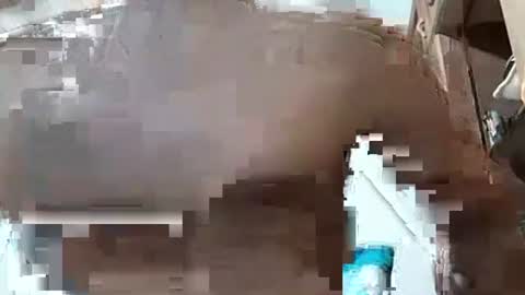 fitchestabs_69 online show from 12-07-24, 03:25