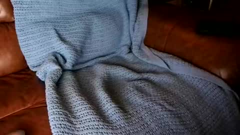 fitstevie1 online show from 01-16-25, 11:27