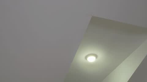 Snapshot of floret_joy chatting on 01-20-25, 08:50 ALICE online show from 01-20-25, 08:50