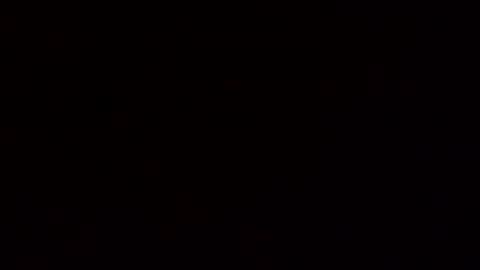 floridaman320 online show from 11-11-25, 06:19