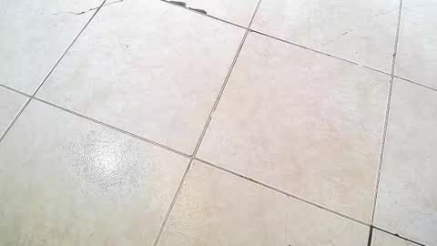 flyckers online show from 09-13-25, 08:19