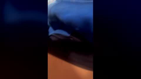 followthepipermore online show from 05-01-26, 06:12