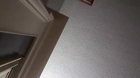 Have fun remembering u online show from 10-02-25, 02:29