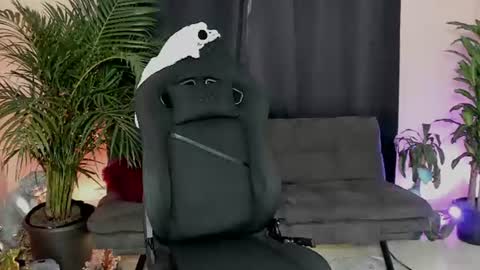 Snapshot of foniland_ chatting on 06-15-26, 03:14 Foni online show from 06-15-26, 03:14