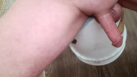 forestnymphpdx online show from 01-31-26, 11:36