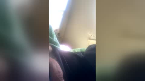 forrestandjenny online show from 04-04-26, 02:58