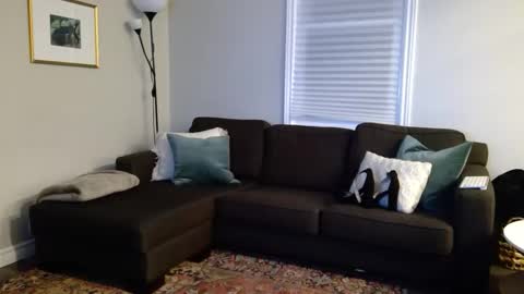 Foxy online show from 10-07-25, 12:52