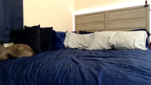 Angel online show from 12-05-24, 03:39