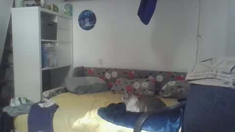 Snapshot of frcokin chatting on 04-03-26, 12:25 frcokin online show from 04-03-26, 12:25