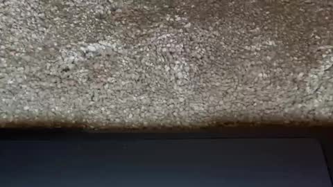 Snapshot of freaky__athena chatting on 03-31-26, 07:47 athena online show from 03-31-26, 07:47