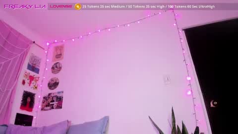 Snapshot of freaky_lia chatting on 02-25-25, 11:22 Lia Gomez online show from 02-25-25, 11:22