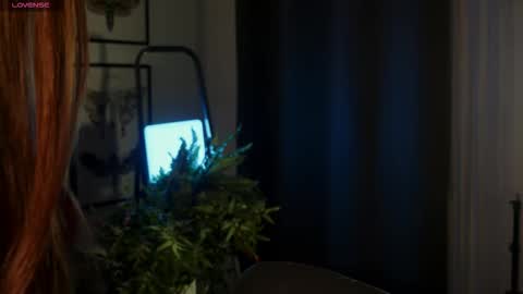 Diyana online show from 10-09-25, 10:41