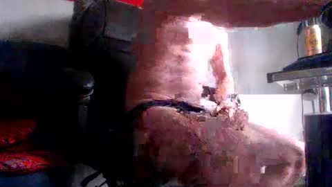 Snapshot of fred1051 chatting on 02-28-26, 08:15 yo online show from 02-28-26, 08:15