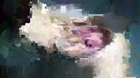 fredddy05 online show from 11-25-25, 05:51