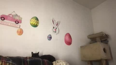 Freddy Foot Balls online show from 03-23-26, 11:09