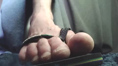 Greedy Fred online show from 02-18-26, 02:13