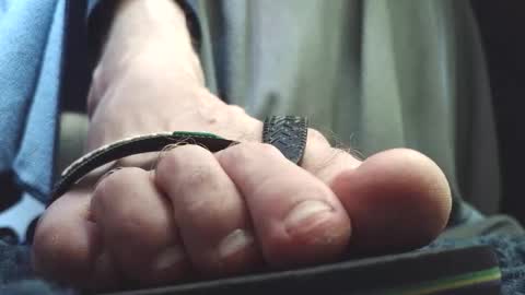 Greedy Fred online show from 02-26-26, 03:44