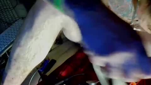 freeman2doyou2 online show from 12-22-24, 08:16