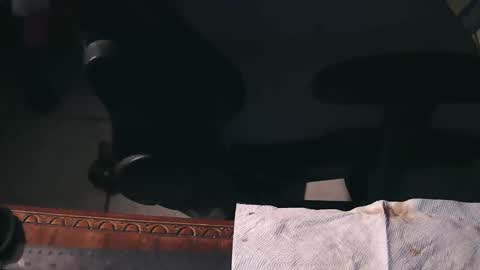 freetryal online show from 11-21-25, 02:21