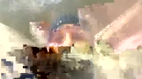 Horny french hard online show from 12-17-24, 12:34