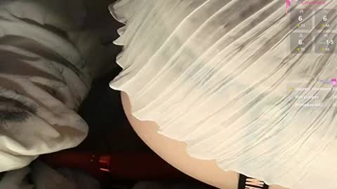 Meadow online show from 02-22-25, 06:08