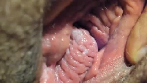 FrumCake online show from 01-04-25, 01:10