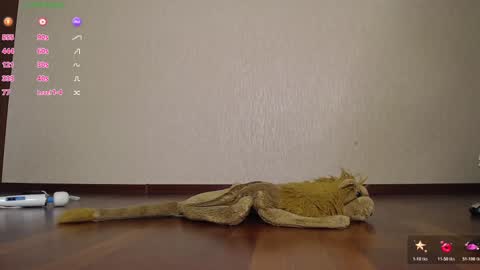 fuckingalice online show from 11-12-25, 06:14