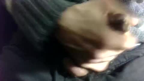 tugatito online show from 01-02-25, 08:24