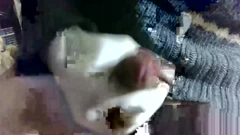 tugatito online show from 02-14-25, 09:13