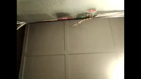 Warwick online show from 10-10-25, 08:46