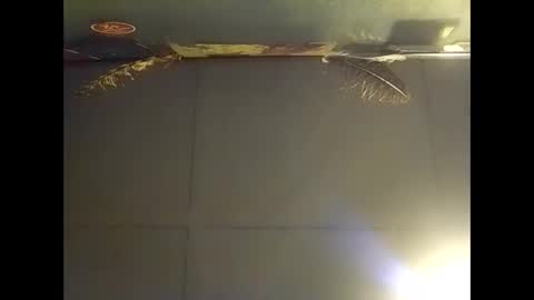 Warwick online show from 11-02-25, 07:44