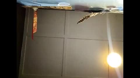 Warwick online show from 11-23-25, 10:59