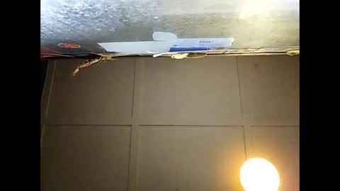 Warwick online show from 11-29-25, 09:23