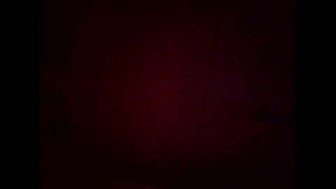 Warwick online show from 02-08-26, 11:35