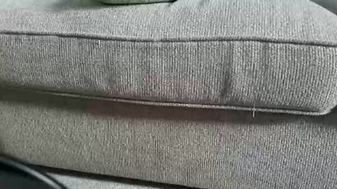 marklaura online show from 09-12-25, 12:27